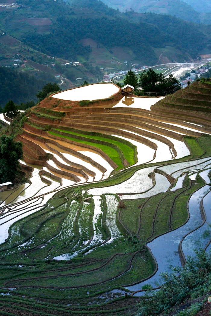 portfolio-02 Stunning landscape of rice terraces with water reflections in a mountainous region, showcasing natural beauty.